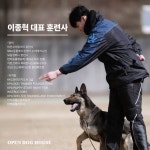 오픈독하우스