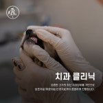 24시잠실베스트동물메디컬센터