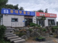 등대부동산공인중개사사무소