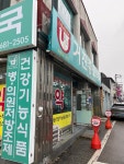 거진종로약국