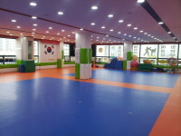 대명태권도