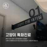 24시잠실베스트동물메디컬센터