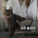 24시잠실베스트동물메디컬센터