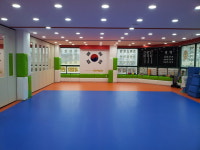 대명태권도