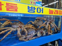 주원수산 청호활어회센터본점