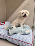 위드왈왈컴퍼니