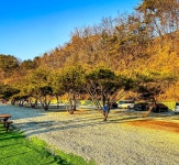 세렌디피아 어반피크닉 양평