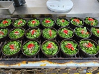 우아한염소농원