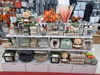 다이소 대전오류점