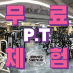 플레이스85휘트니스 도산점