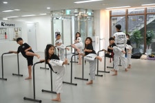경희대화랑K타이거즈태권도