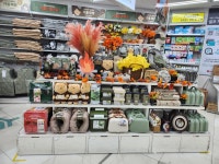 다이소 대전둔산타임월드점