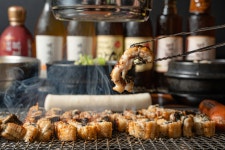 강쇠네뻘떡장어