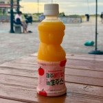 돌갱이네농수산 | 돌갱이네집 제주협재리본점