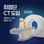 N동물의료센터 강북점