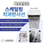 나봄동물병원