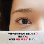 더블유엠(WM)아이래쉬 | WM아이래쉬