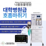 나봄동물병원