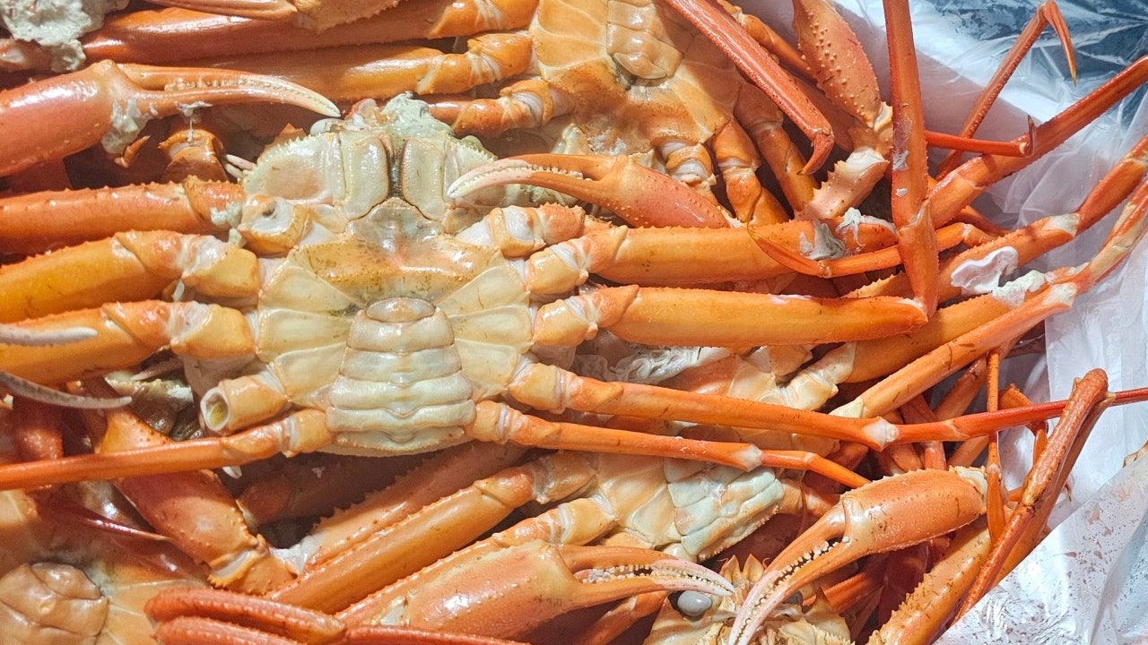 신용수산