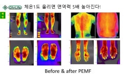 쉐정 성남센터 | 올리라이프 성남센터
