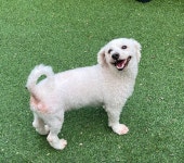 오늘도 냥독