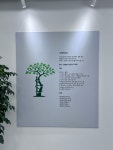 서민정형외과의원