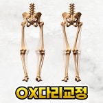 팀 바디솔루션 본점 교육아카데미&체형교정마사지