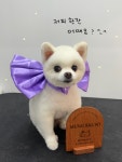멍발소하우스