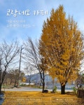 코람데오