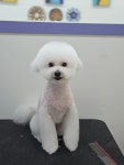 오순독순