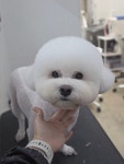 오순독순