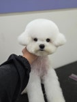 오순독순