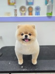 오순독순