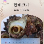 금능맛차롱협동조합
