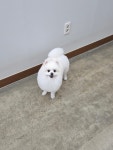 오순독순