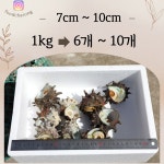금능맛차롱협동조합