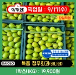 다이클로 답십리파크자이점