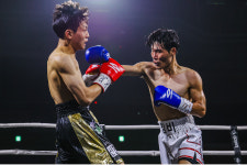 월드복싱체육관