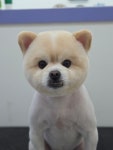 오순독순