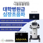 나봄동물병원
