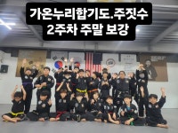 가온누리합기도, 주짓수