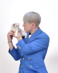 랙돌캐터리 아이돌스 전주고양이분양