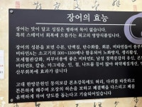 청주 개신풍천장어