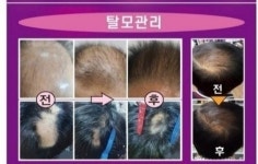 큐사랑 오남양지점 | 큐사랑 용인양지점