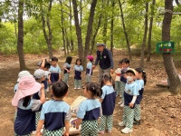 시지아이숲유치원