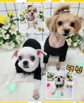 댕실