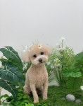 크루멍