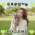 펫퍼스트 24시 강아지분양 고양이분양 인천본점