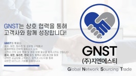 지엔에스티