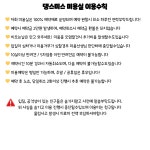 댕스미스 애견유치원